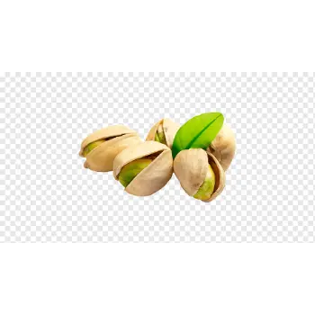 Natural Organic Pistachio